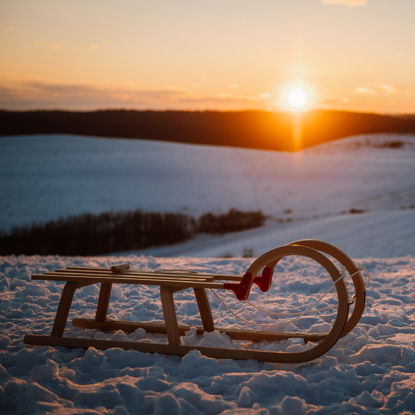 Schlitten Alpin Hornrodel